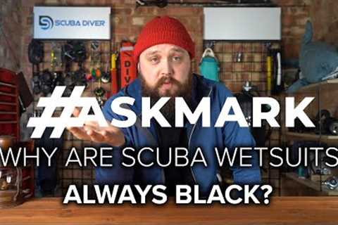 Why are Scuba Wetsuits Always Black? @ScubaDiverMagazine