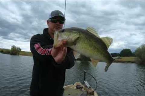 Fishing Tips for this Spring &amp; Beyond