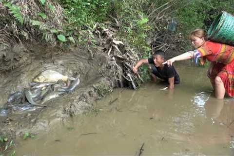 Primitive Life : Video Survival Skills. Catch A Lot Of Fish In The Shallow Hole, Life In The Forest