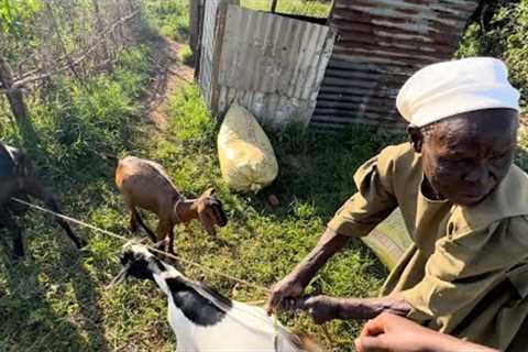 A day in granny’s life in my African Village