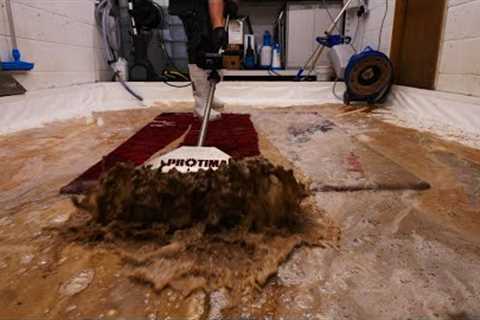 Blood Red Revelation: Transforming a Rug That Bleeds During Washing