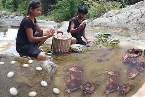 Survival in forest: Found many crabs and egg for food in forest - Crab and egg cooking for lunch