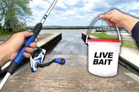 Fishing the BOAT RAMP! Eating Whatever I Catch! (Catch and Cook)