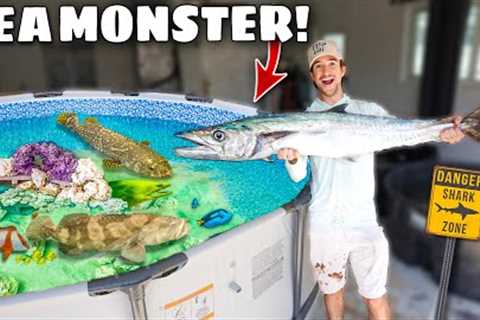 Catching SEA MONSTER To Feed My SALTWATER POND!