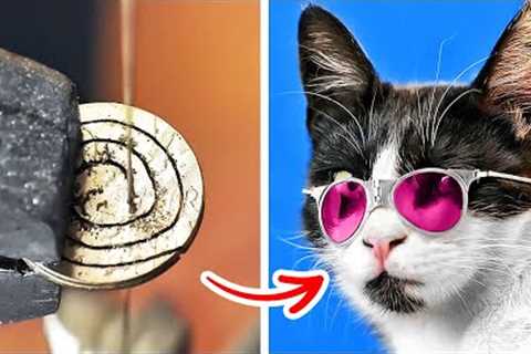 Amazing Crafts For Your Lovely Pets