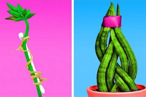 Gardening Hacks You Should Know || Easy Ways To Grow Lovely House Plants