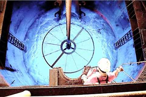 Scientists Exploring Fukushima Just Make A Chilling Discovery 12 Years After The Nuclear Meltdown