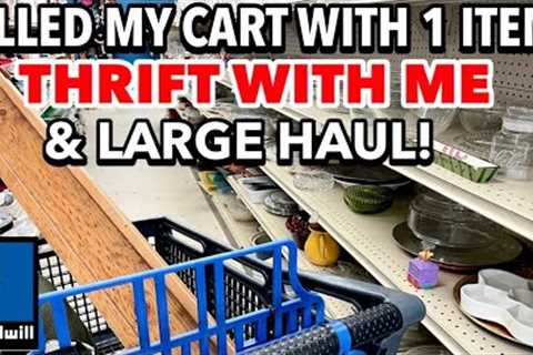 This one thing FILLED MY CART! THRIFTING AT GOODWILL + I’LL SHARE MY LARGE THRIFT HAUL