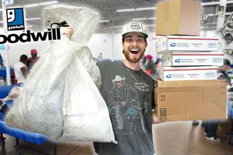 I Spent 3 Hours In The Goodwill Outlet! This Is My Profit... Thrift Challenge!