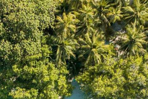 Maldives all-inclusive resorts: A luxurious escape to paradise