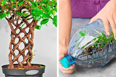Plants Growing Tips And Gardening Hacks For Beginners