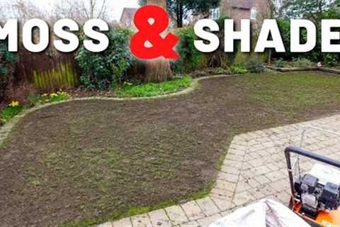 Shaded &amp; Mossy Full UK Lawn Care Rennovation