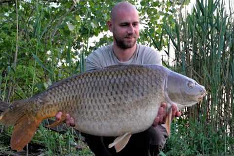 Small Lake Big Carp