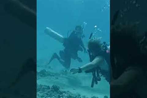 This is why I’m not fond of scuba divers #shorts