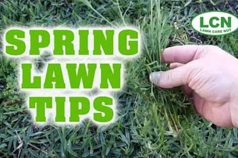 Spring Lawn Fertilizing &amp; Weed Control Tips