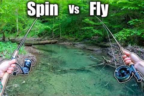 Fly Fishing vs Spin Fishing: Which is better? (Brook Trout Edition)