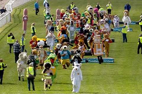 The real wacky races! Enjoy some of our favourite moments from mascot races and more on UK courses