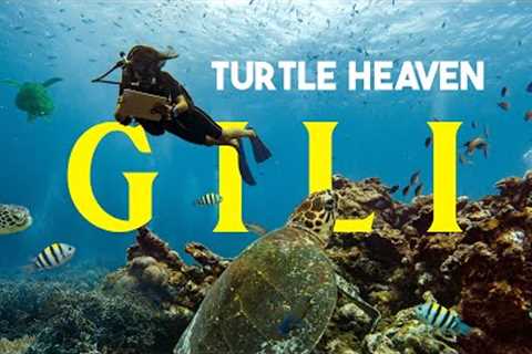 Learning to Scuba Dive in PARADISE, Swimming with Turtles 🐢 (Gili Islands, Indonesia)