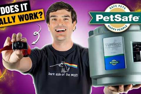 PetSafe Wireless Fence Reviews (Watch Me Get SHOCKED!)