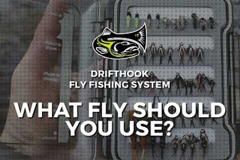 What Fly Should You Use