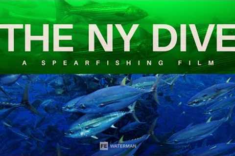The New York Dive, A Spearfishing Film - Full Feature
