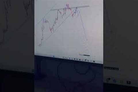 What you fail to do when Trading Forex