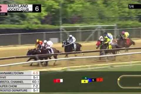 Havnameltdown dying at Pimlico on Preakness Day, 5/20/23