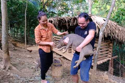 Duong is back! Amazed at everything: From chicken to fish and pig | Primitive Skills