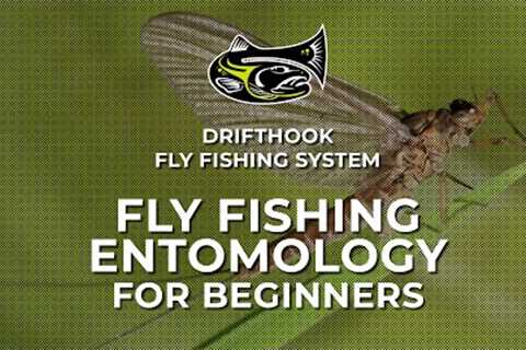 Fly Fishing Entomology for Beginners