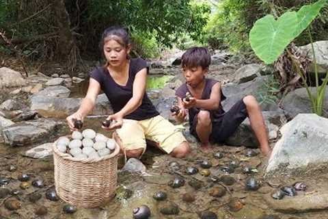 Survival in forest: Found snails and egg for food - Snail cooking with egg for lunch