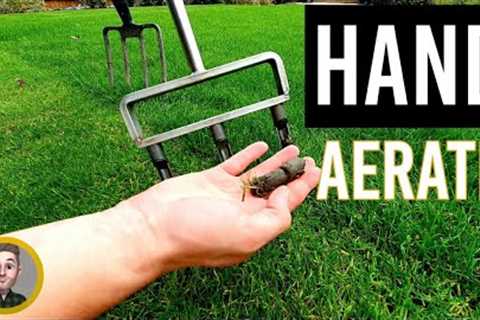 3 Lawn Aeration Tools and When to Use (Solid and Hollow Tine)