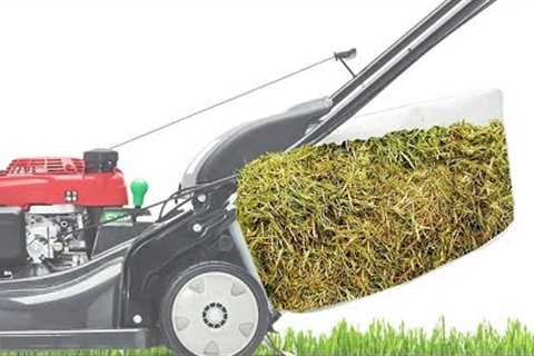 Lawn Mower Cut Quality: Bagging