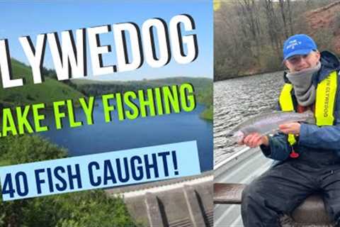 Non stop action! Fly fishing clywedog lake