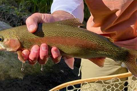 Fly Fishing and Overcoming the Murky Spring Runoff (Colorado River, Parshall)