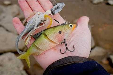 Finding Free Fishing Lures!