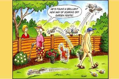 Laughter Is The Best Medicine（43）