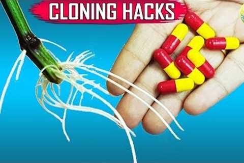 SECRET TIPS TO CLONING PLANTS IN WATER: 10 EASY GARDENING IDEAS AND HACKS
