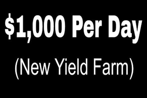 How I Earn $1,000+ Per Day Yield Farming (New Yield Farm)