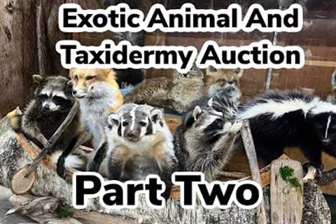 Missouri Exotic Animal Auction Part Two