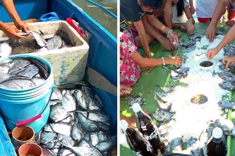 Amazing! Catch a Lot of Fish | Catch, Sell and Cook | Primitive Fishing in Philippines