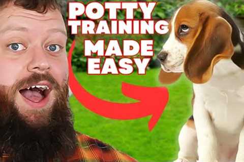 How To Potty Train Your Puppy Easily!