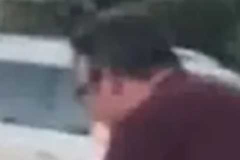 Dad Helping Ducklings Cross Road Killed By Teen Driver in Front of His Children