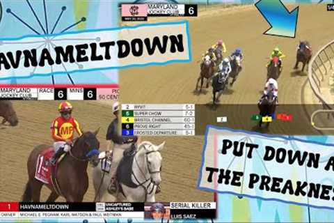 Havnameltdown KILLED AT PREAKNESS 2023 #horseracing