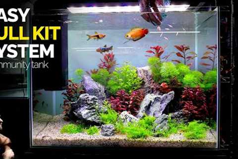All In One Kit Aquarium: Community Fish Tank Setup (Aquascape Tutorial)