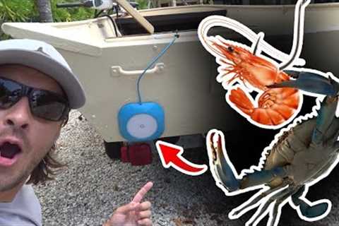 I take LED Pool Lights Fishing at NIGHT {catch and cook}