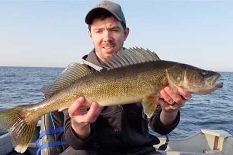 BIG WALLEYES! Walleye Fishing Mille Lacs Lake 2023