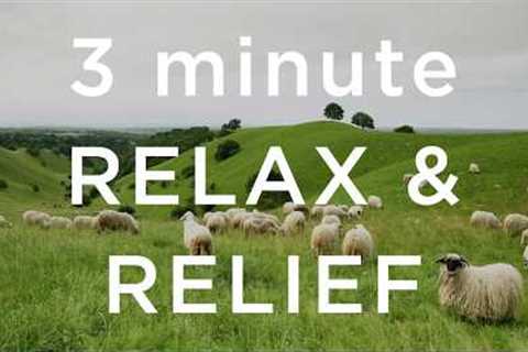 3 Minute Relax and Relief