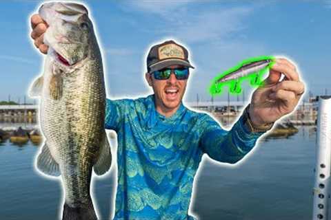 Fishing a New Topwater and THIS HAPPENED!
