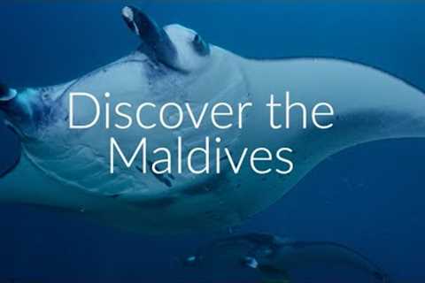 Scuba Diving in the Maldives with Carlu Travel
