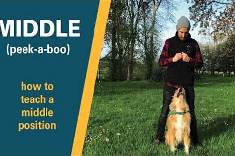 Puppy Trick Training | How to teach a Dog 'Middle' / 'Peek-A-Boo' | Full Training Tutorial